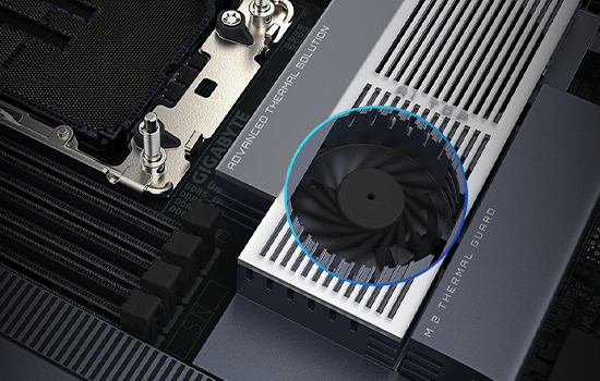 Z590